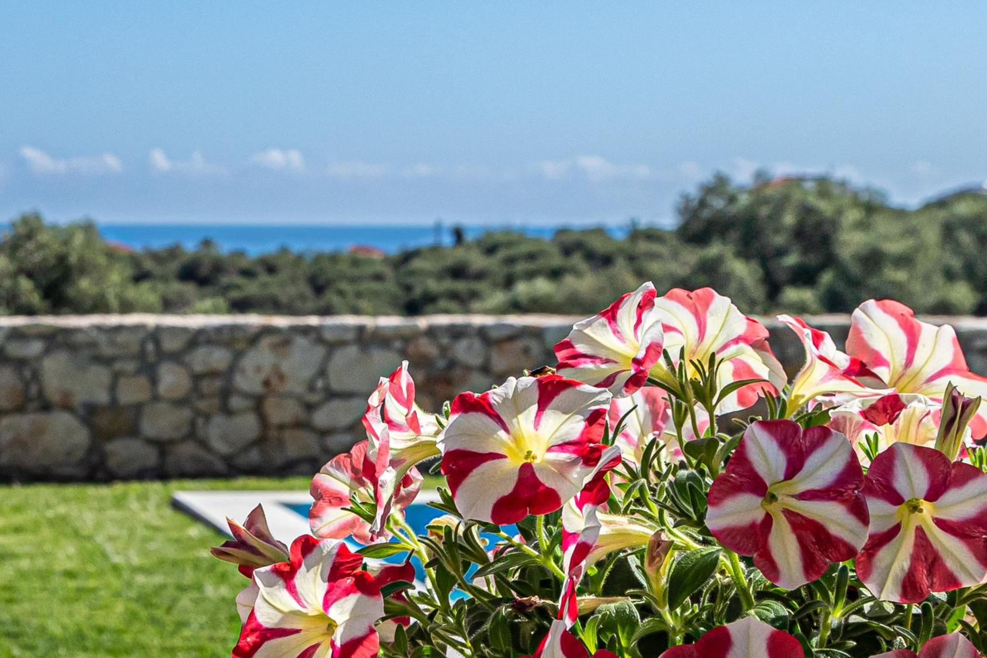 Villa Penelope Galatás Eksteriør billede